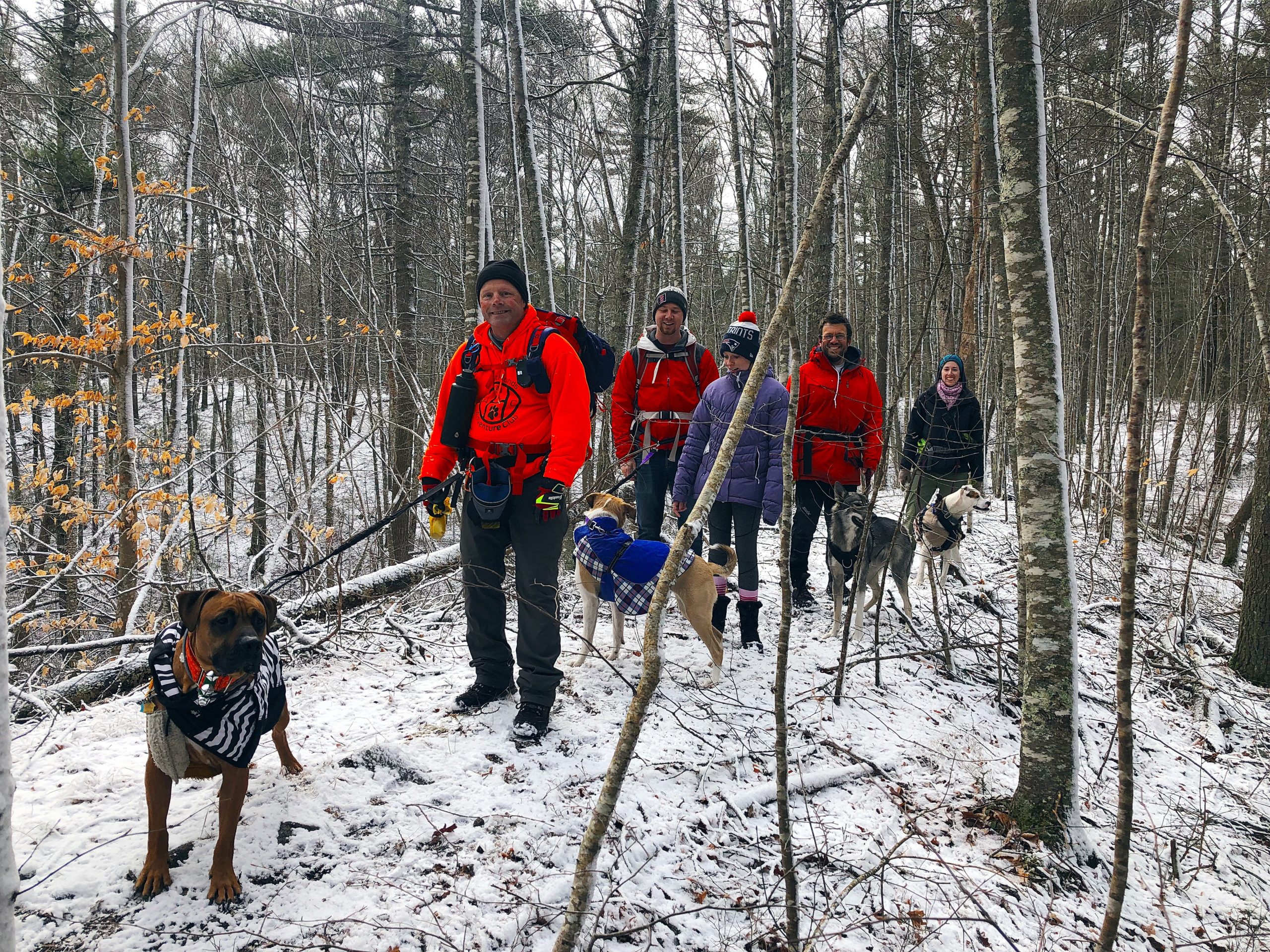 Dog training and dog hiking with Adventure Club in Dartmouth MA