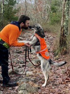 Cute picture of tamaskan dog and dog trainer in blaze orange on a hike