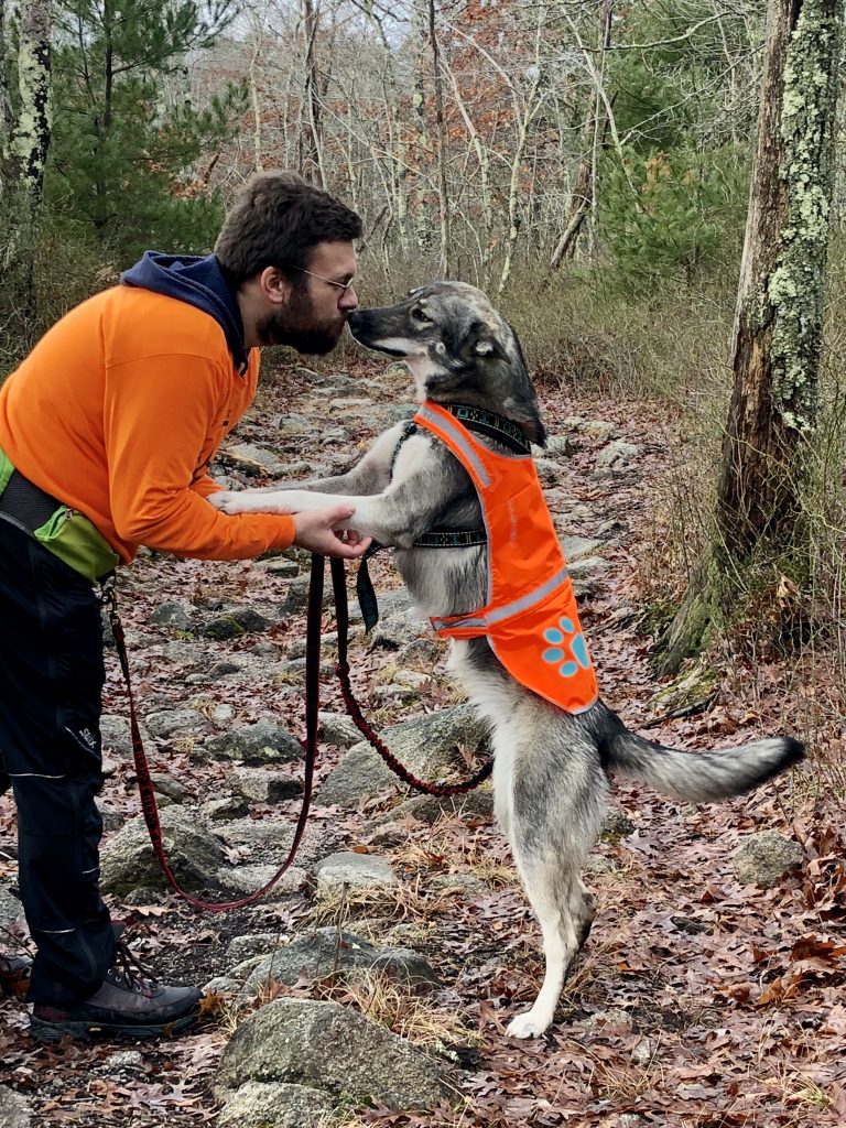 Cute picture of tamaskan dog on a hike with a dog trainer