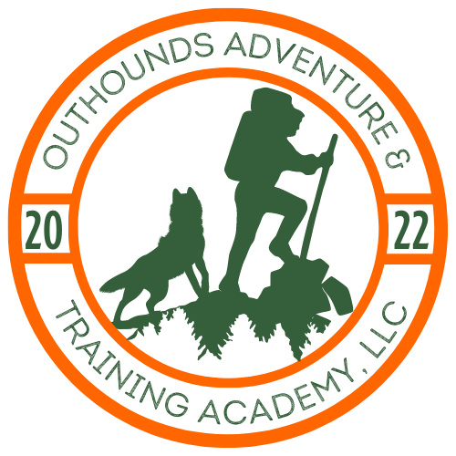 Hiking adventure logo for dog training, pet care, and dog walking company located in Southcoast Massachusetts.